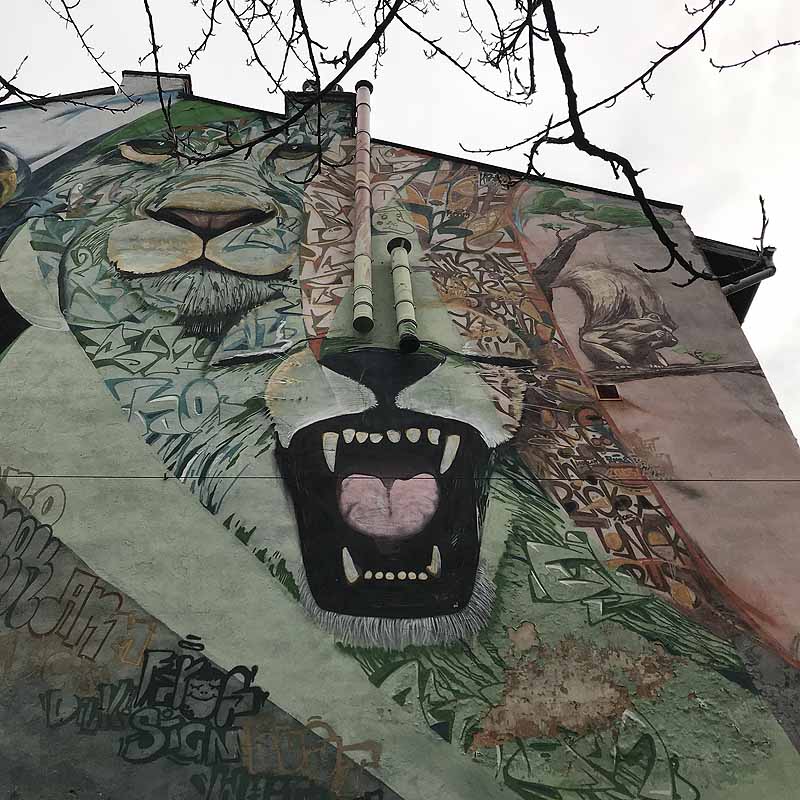 street art in lviv, ukraine