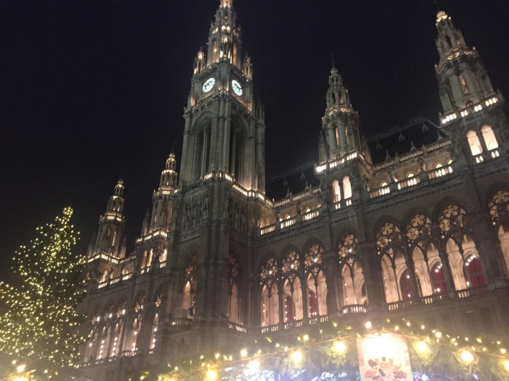 rathaus in vienna, austria