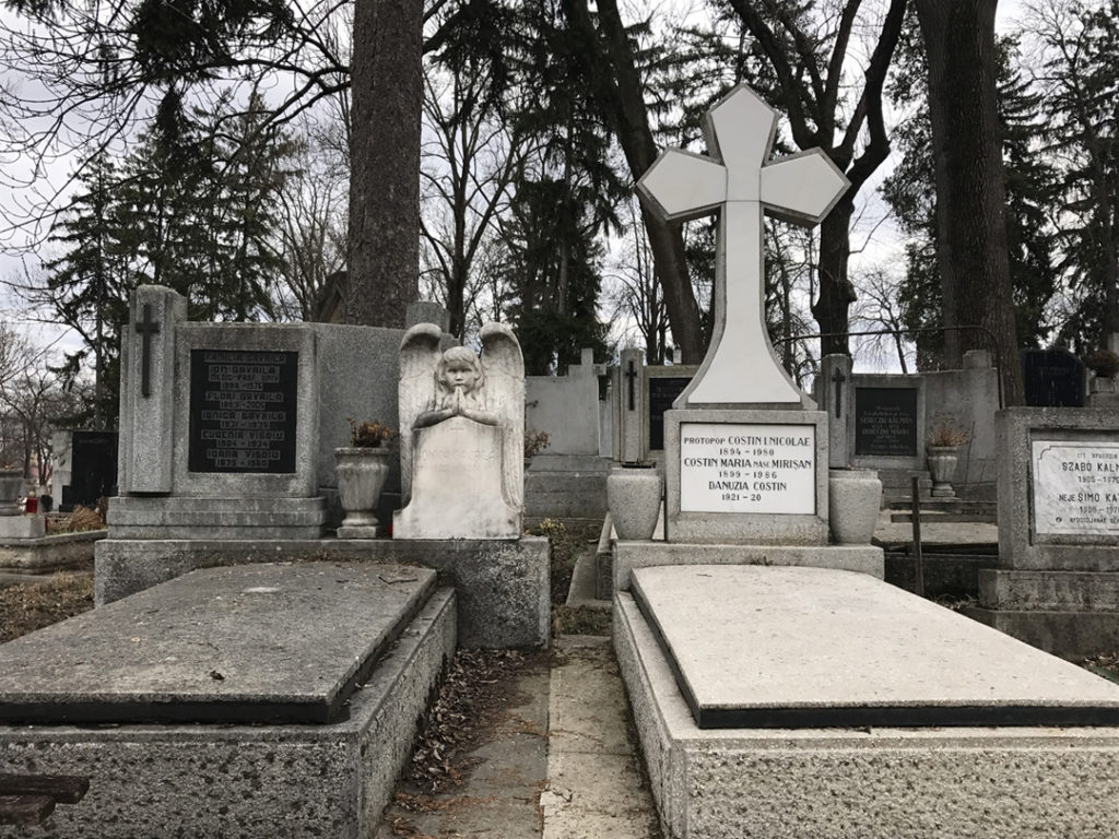 cemetery in cluj, transylvania