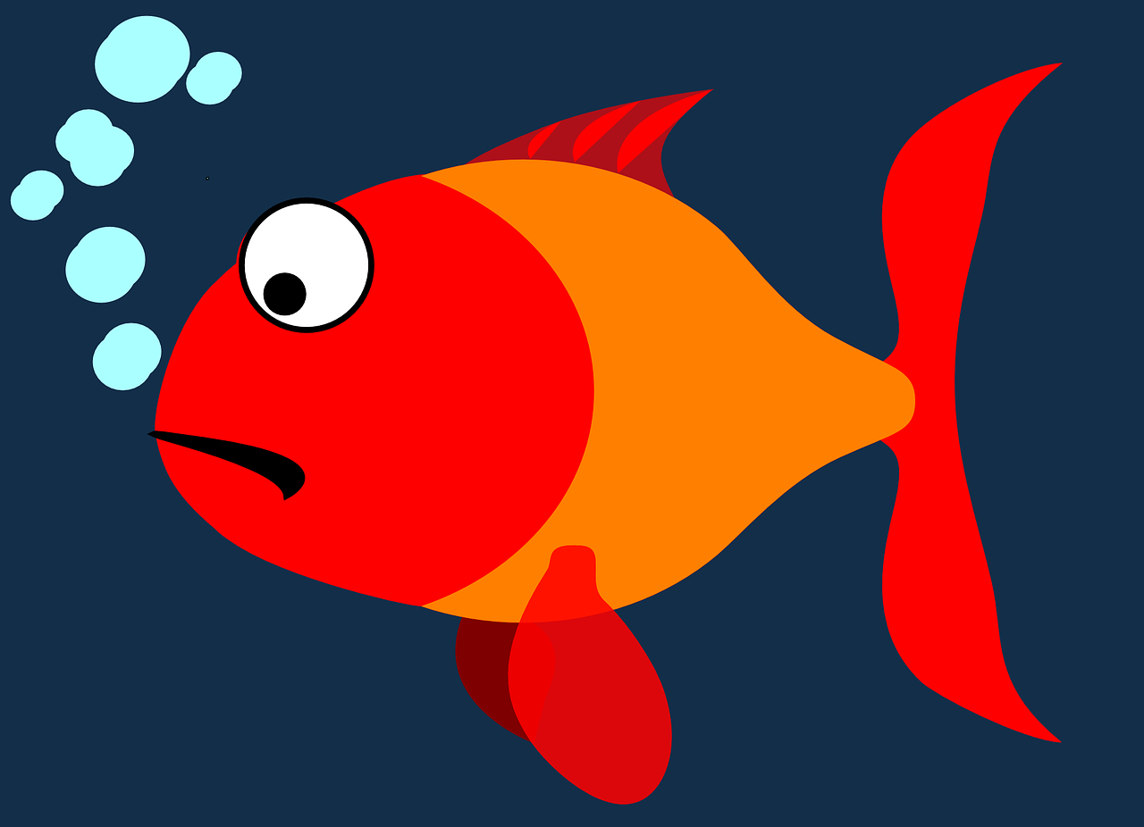Была рыбка простая. Рыба мультяшная. Рыбка мультяшный. Красная рыбка мультяшная. Рыба в паинте.