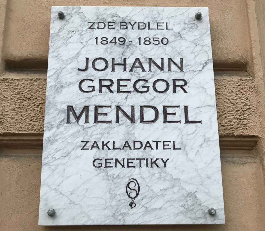 mendel plaque in znojmo, czech republic