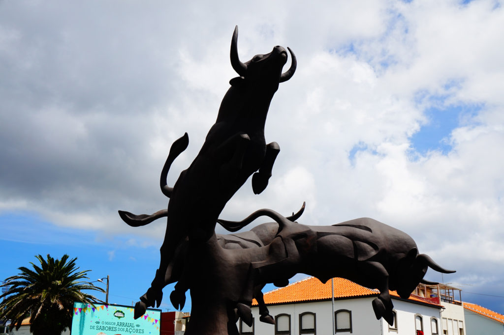 bull fight fighting azores terceira island portugal angra