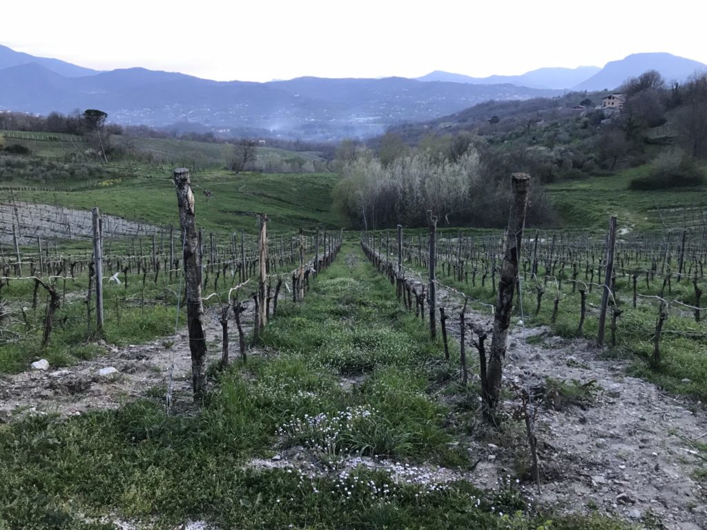 italian italy wine country taurasi avellino irpinia